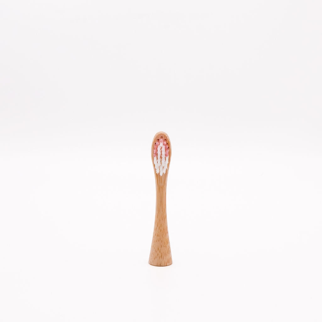 Eco-Friendy Toothbrush Head