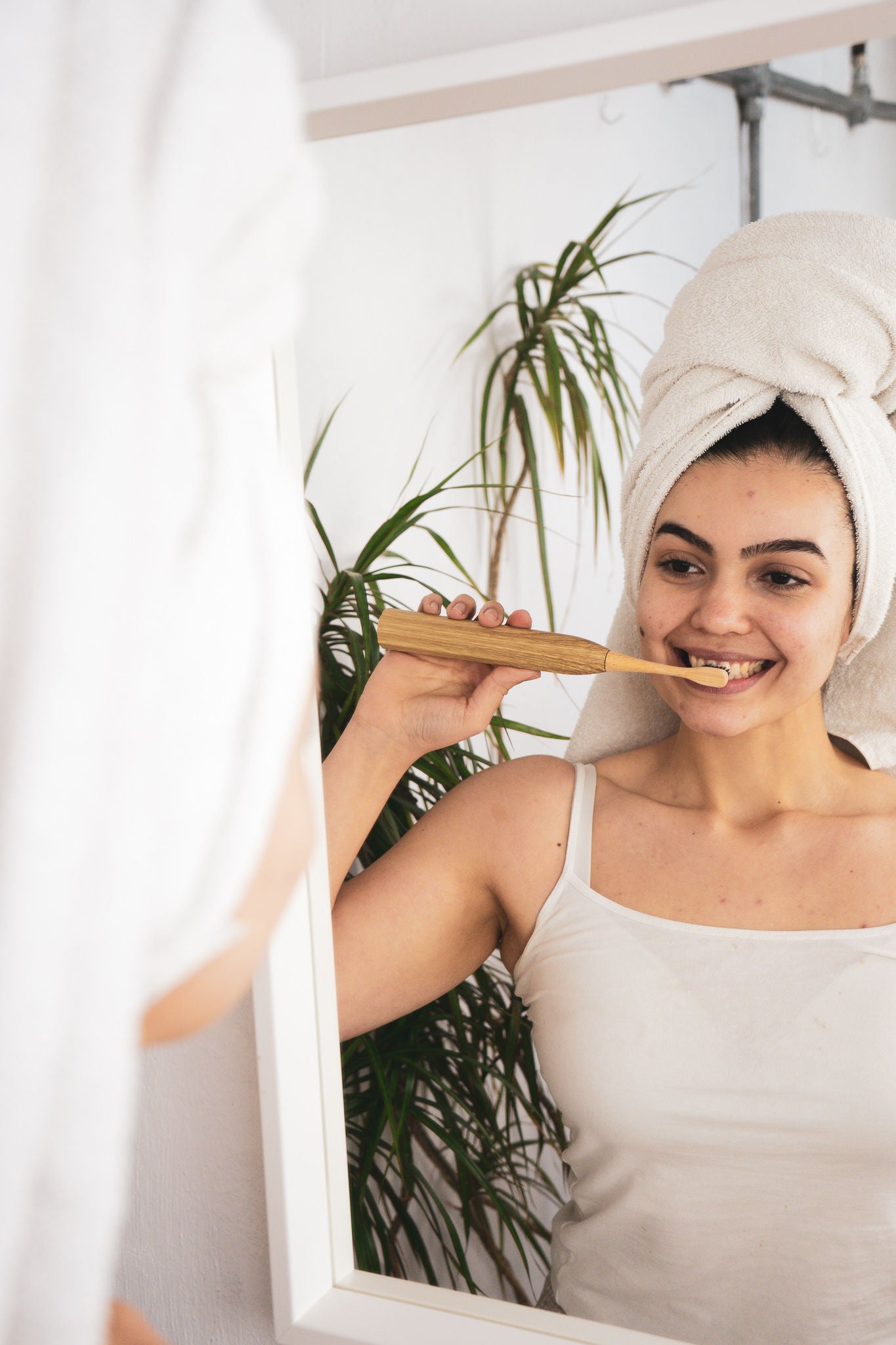 Plastic-Free Bamboo Electric Toothbrush