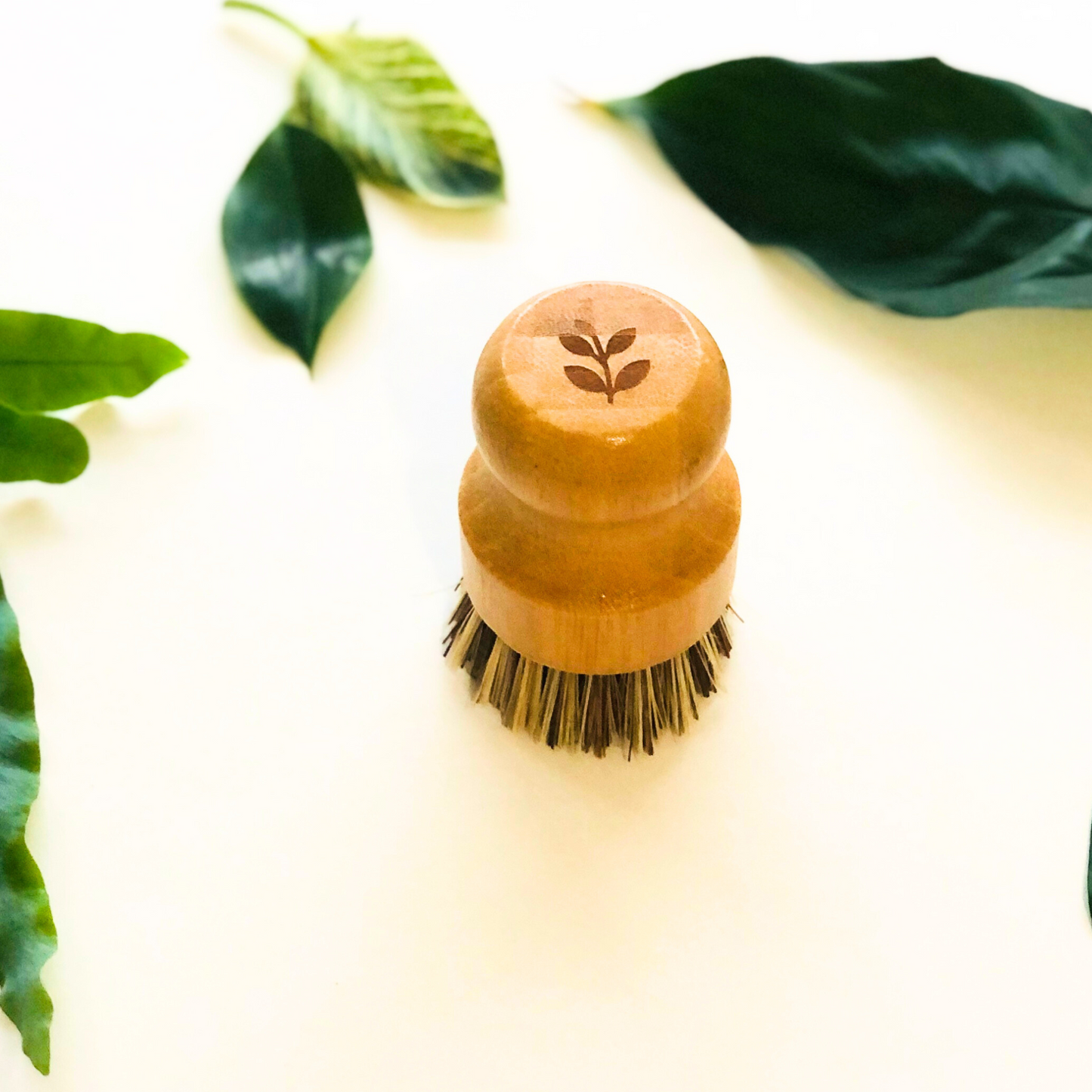 Bamboo Pot brush for dishes or vegetables