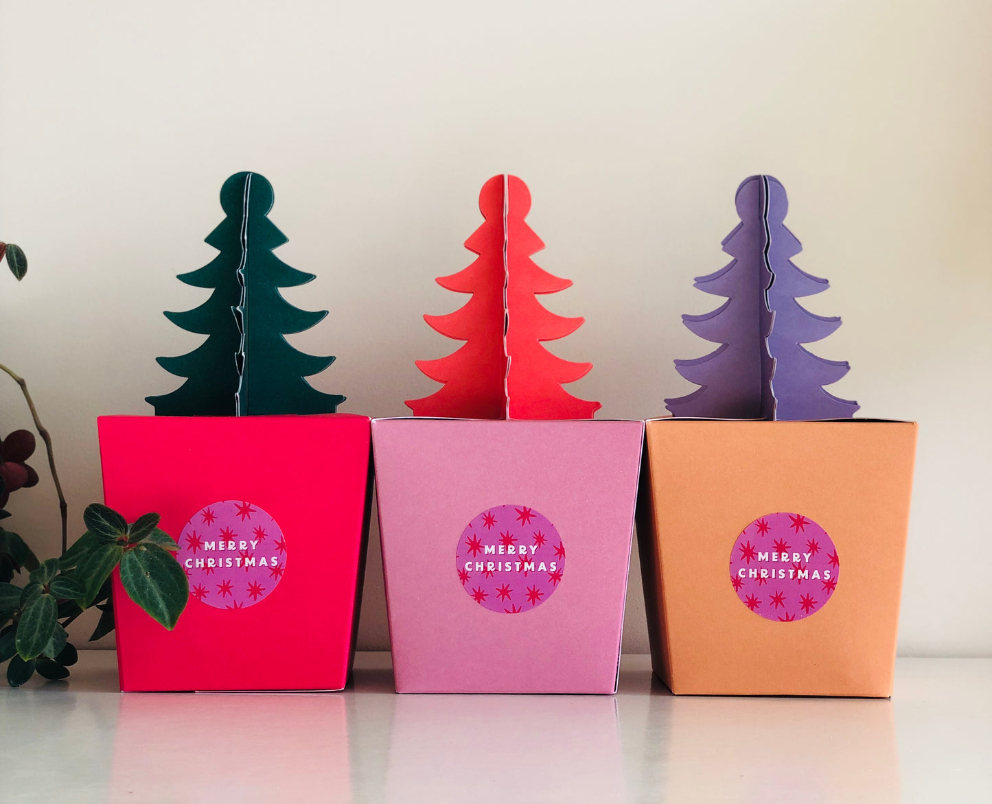 Christmas Gift Box - Haircare - Plastic Free