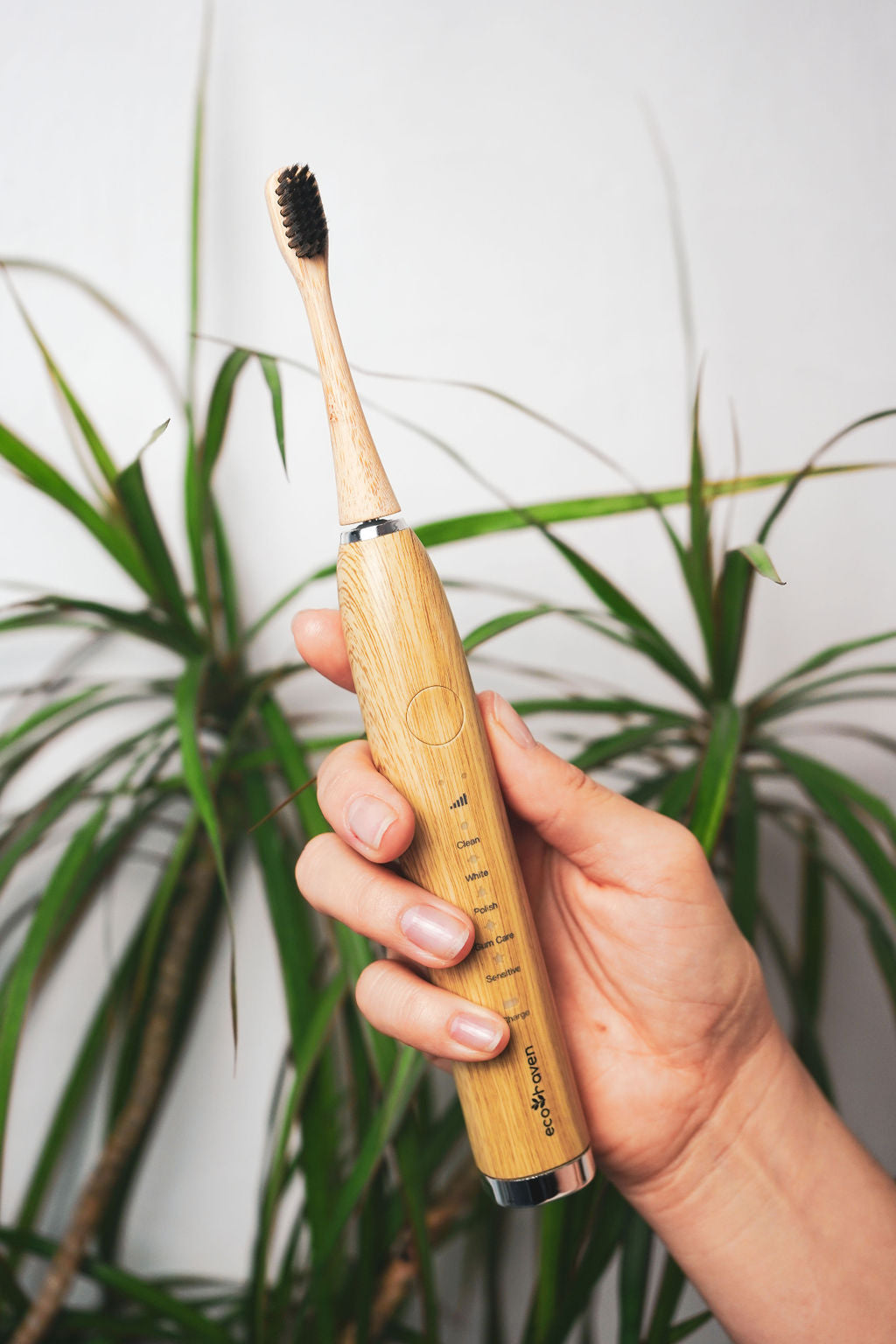 Sonic Bamboo Electric Toothbrush
