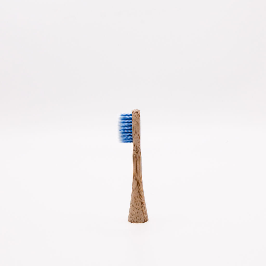 Bamboo Replacement Head - Blue