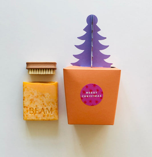 Christmas Gift Box - Natural Beauty  - Spiced Orange Soap Bar - Wooden Nail Brush- Plastic Free