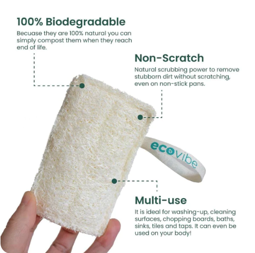 Eco-friendly Sponge - Loofah - Pack of 2