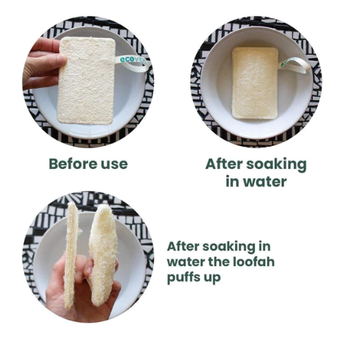 Eco-friendly Sponge - Loofah - Pack of 2