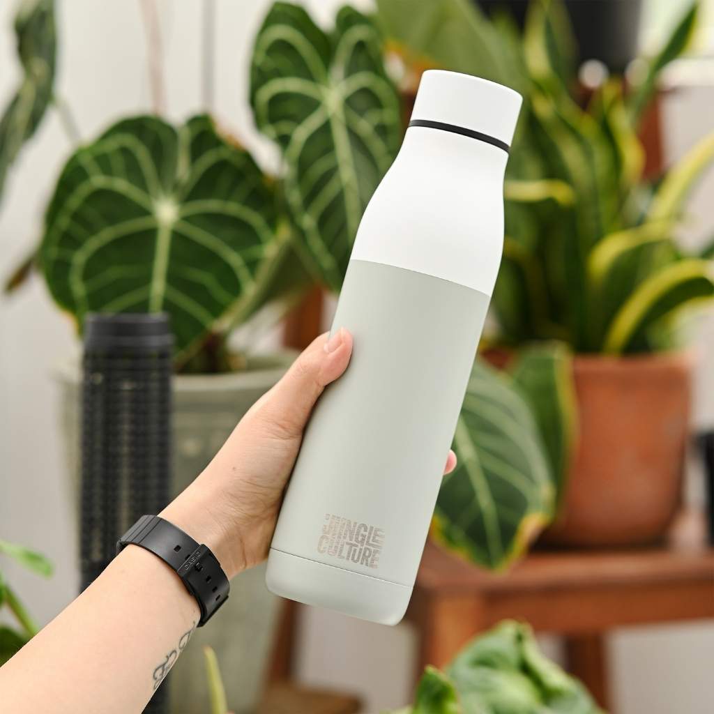 Reusable Water Bottle - Insulated - Stainless Steel - Jungle Culture - 650ml -