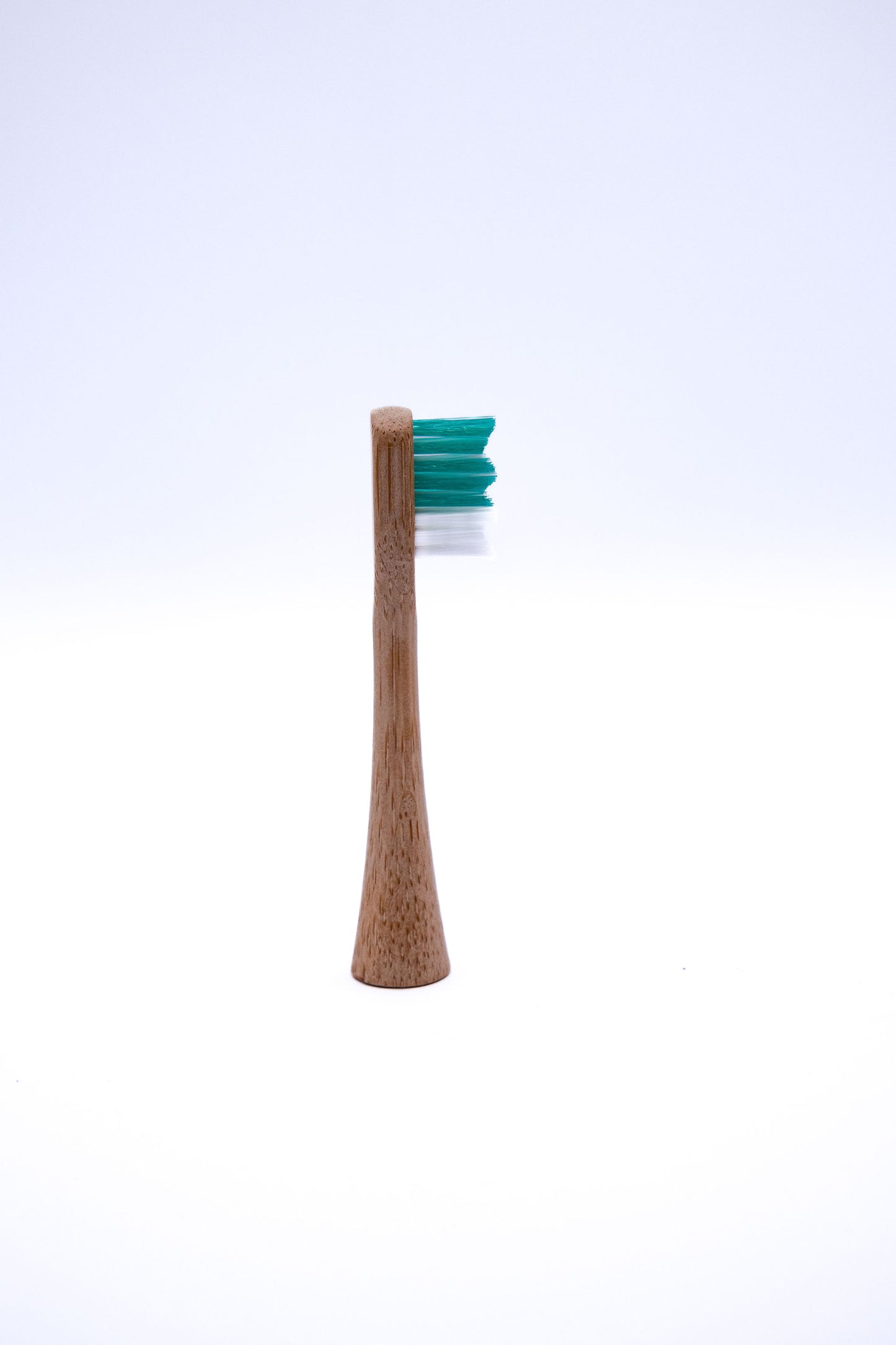 Bamboo Electric Toothbrush Replacement Heads - 4 Pack - Medium Bristles- Multi-colours