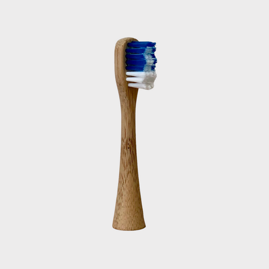 Bamboo Replacement Head - Blue