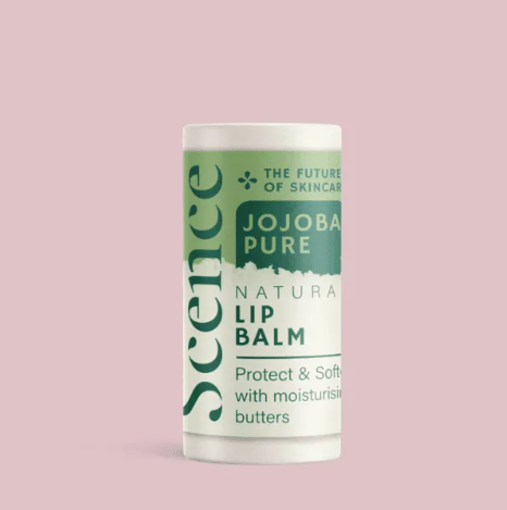 Scence Lip Balm - Jojoba Pure