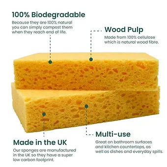 Cellulose Sponges - Pack of 2 - EcoVibe